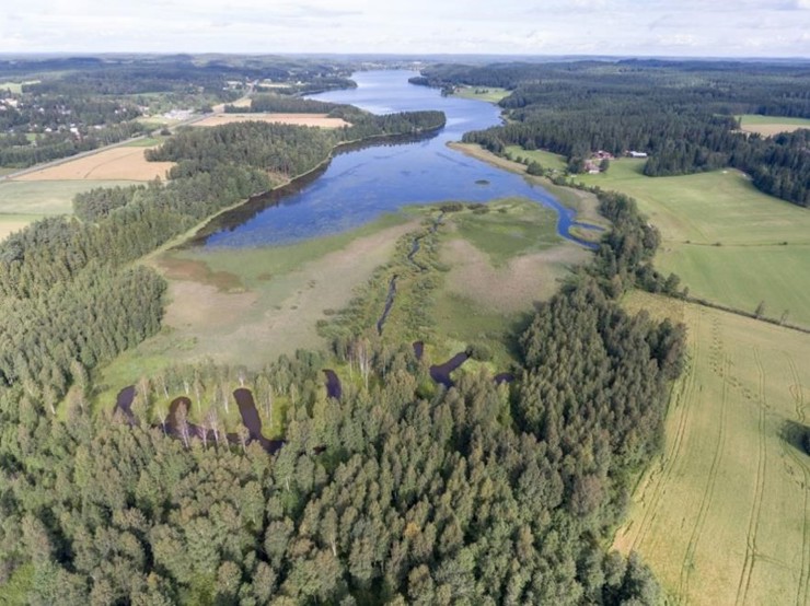 Kuvassa on ilmakuva kampakosteikosta.