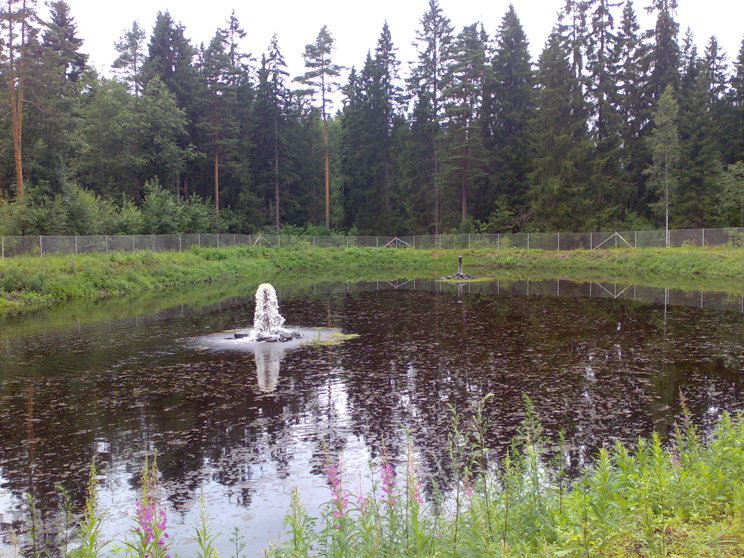 Kuva, joka sisältää tekopohjaveden imeytysaltaan Ahvenistonharjulla Hämeenlinnassa.