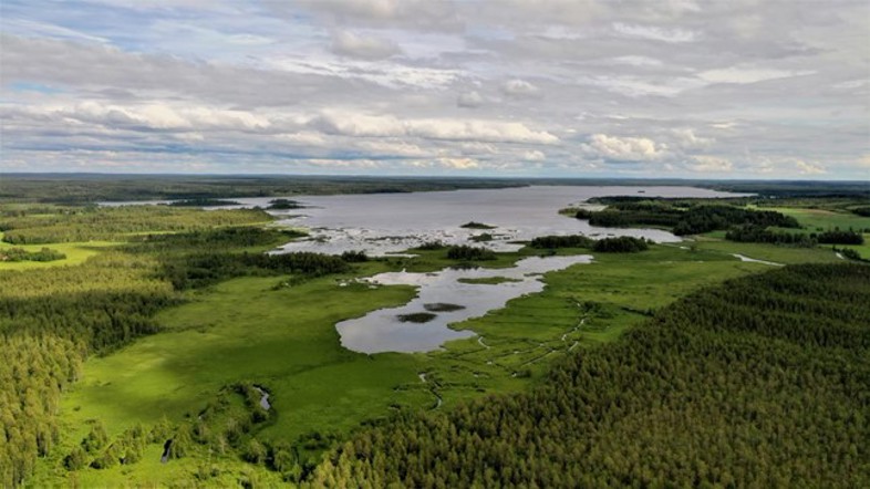 Kuvituskuva: Ilmakuva matalasta rehevästä järvestä.