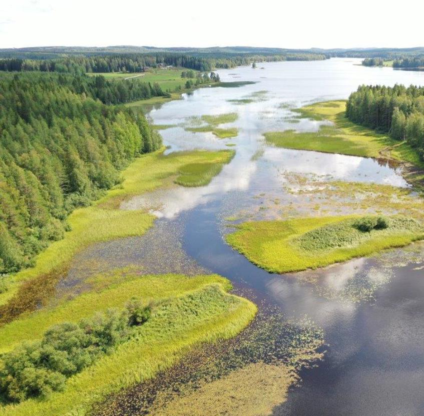Ilmakuva Tarhapäänjärven Purstinsalmesta Multialla, jossa salmea on kunnostettu ruoppaamalla ja niittämällä vesikasvillisuutta. Kuvassa näkyy niitettyä salmea ja kauempana järvi sekä rantametsiä ja -peltoja.