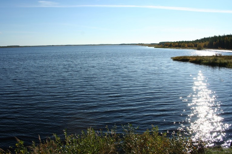 Järvimaisema Kortteisen tekojärveltä