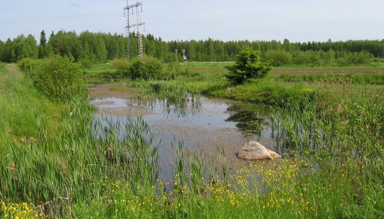 Valokuva, jossa riistakosteikko peltomaisemassa.