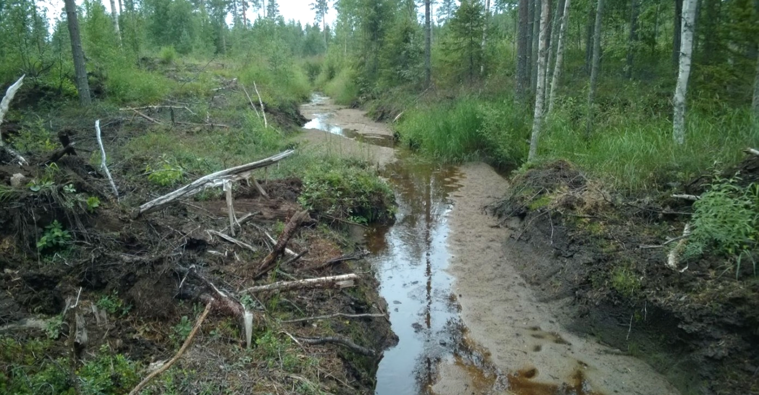 Valokuva, jossa hiekottunut uoma.