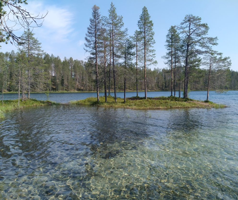 Valokuva, jossa erittäin kirkasvetinen, pohjavesivaikutteinen järvi.