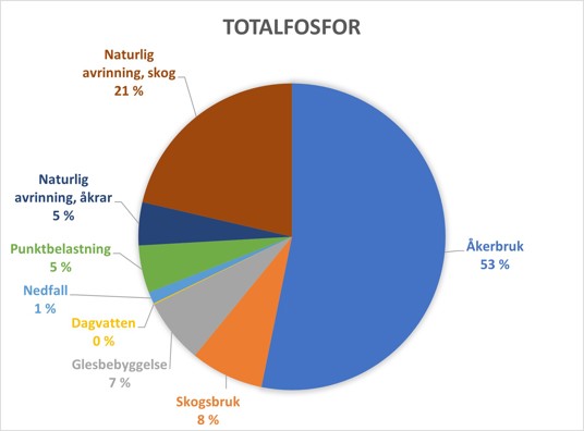 Den största delen av totalfosforbelastningen härstammar från åkerbruket 53 %. Övriga belastningskällor i storleksordning är: naturlig urlak-ning från skogar 21 %, skogsbruk 8 %, glesbebyggelse 7 %, naturlig urlakning från åkrar 5 %, punktbelastning 5 %, nedfall 1 % och dag-vatten mindre än 1 %.