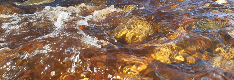 Valokuva, jossa humuksen värjäämää vettä koskessa.