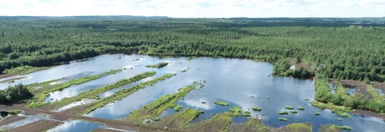 Valokuva, jossa entiselle turvetuotantoalueelle tehty kosteikkoalue.