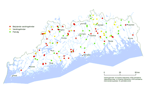 En kartbild av vandringshinder och fiskvägar. Betydande vandringshinder finns ganska jämnt i hela Nyland.