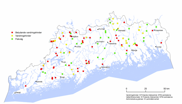 En kartbild av vandringshinder och fiskvägar. Betydande vandringshinder finns ganska jämnt i hela Nyland.