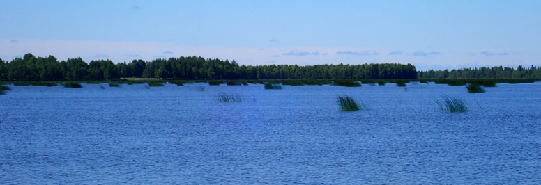 Valokuva, jossa järvimaisema Mursunjärveltä.