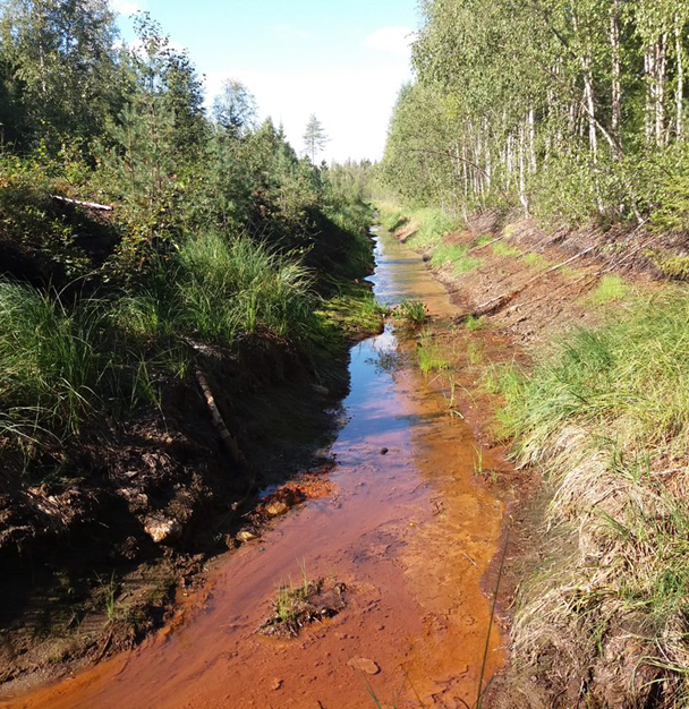 Valokuva: Ojassa rautasakkaa.