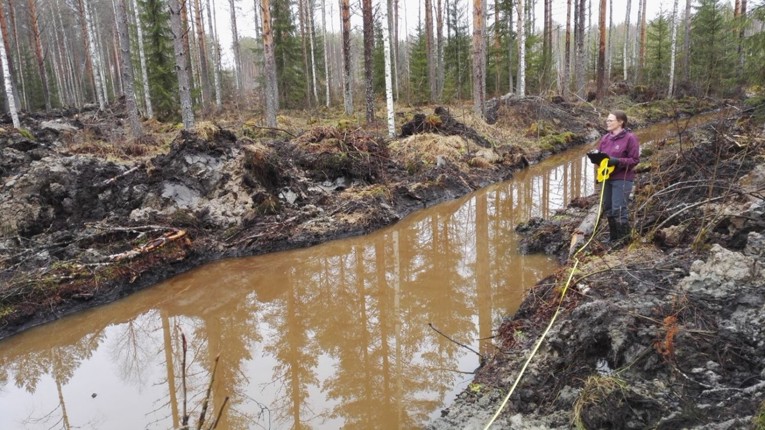 Valokuva, jossa arvioidaan metsätalouden vesiensuojelurakenteiden suunnitelmanmukaisuutta.