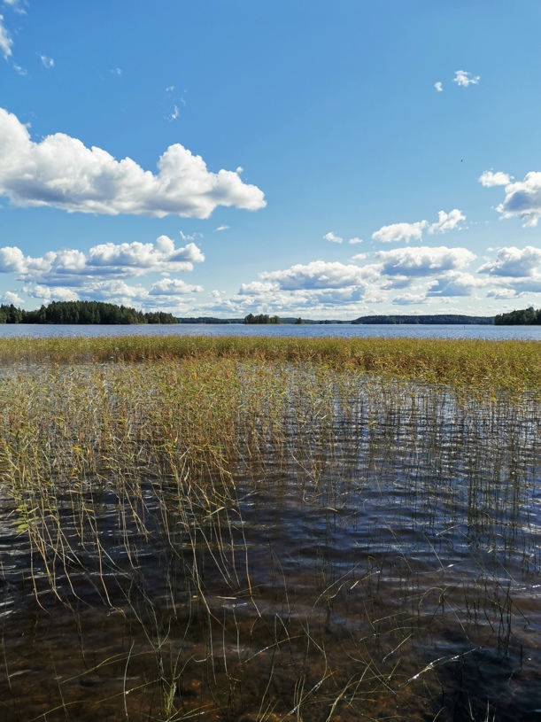 Kyrösjärvi