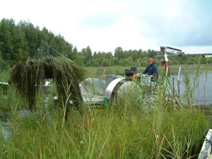Kuvassa on keräävä niittokone Päijänteellä.