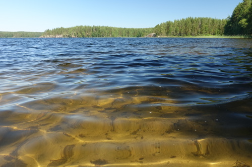 Valokuva Saimaan Lietvedeltä